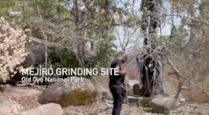 WhatsApp Image 2025-02-26 at 1.00.42 PM (1)