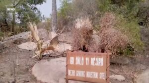 WhatsApp Image 2025-02-26 at 1.00.42 PM